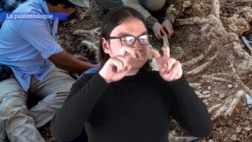 <strong>La paléontologue</strong>