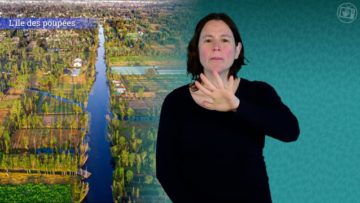 <strong>L’île des poupées</strong>